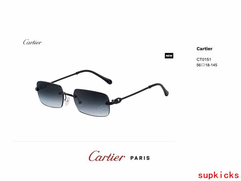 Close-up detail view of Cartier unisex sunglasses