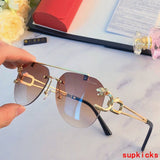 Close-up detail view of Cartier unisex sunglasses