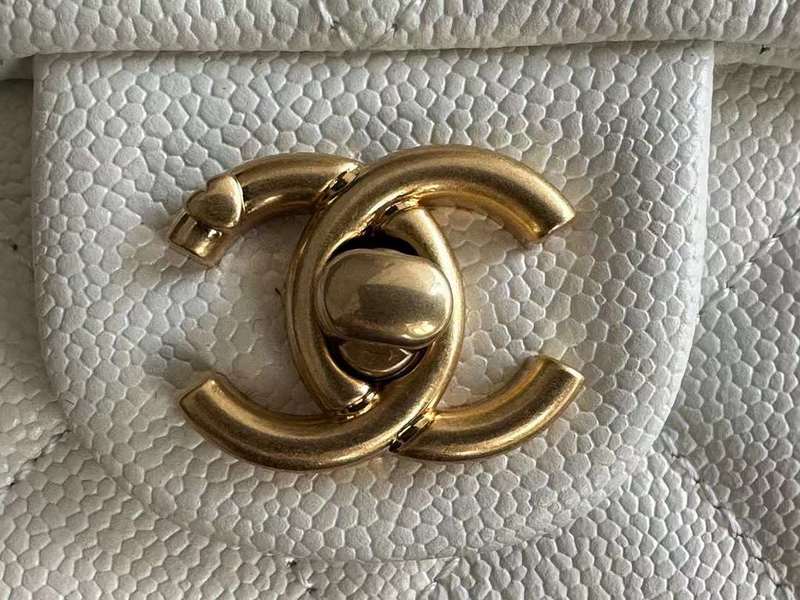 Zivas Charm Versatile Design Everyday Handbag (Premium Everyday Carry) – Styled Look