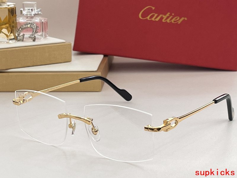Close-up detail view of Cartier unisex sunglasses