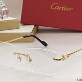 Close-up detail view of Cartier unisex sunglasses