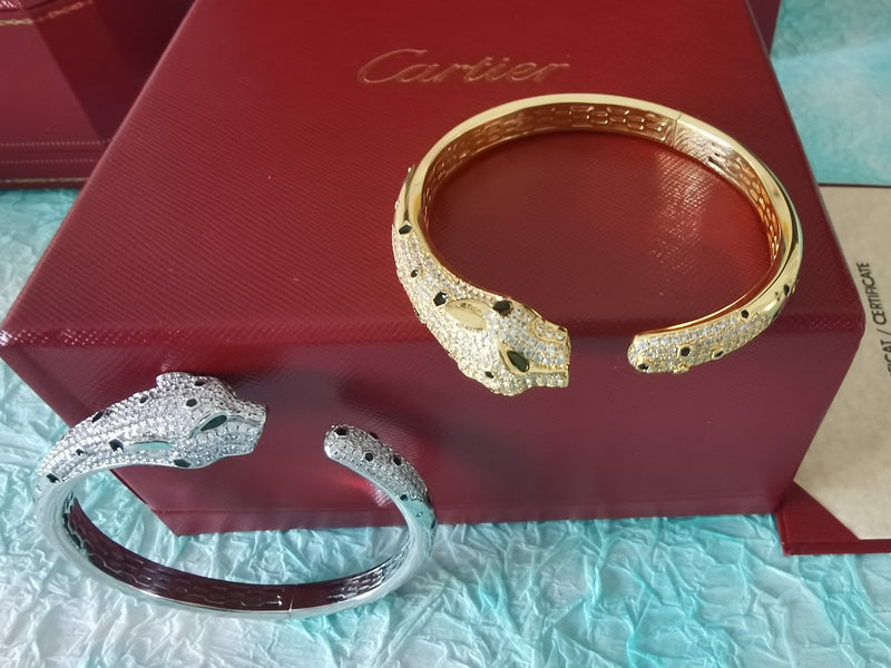 Side view of Cartier unisex jewelry piece