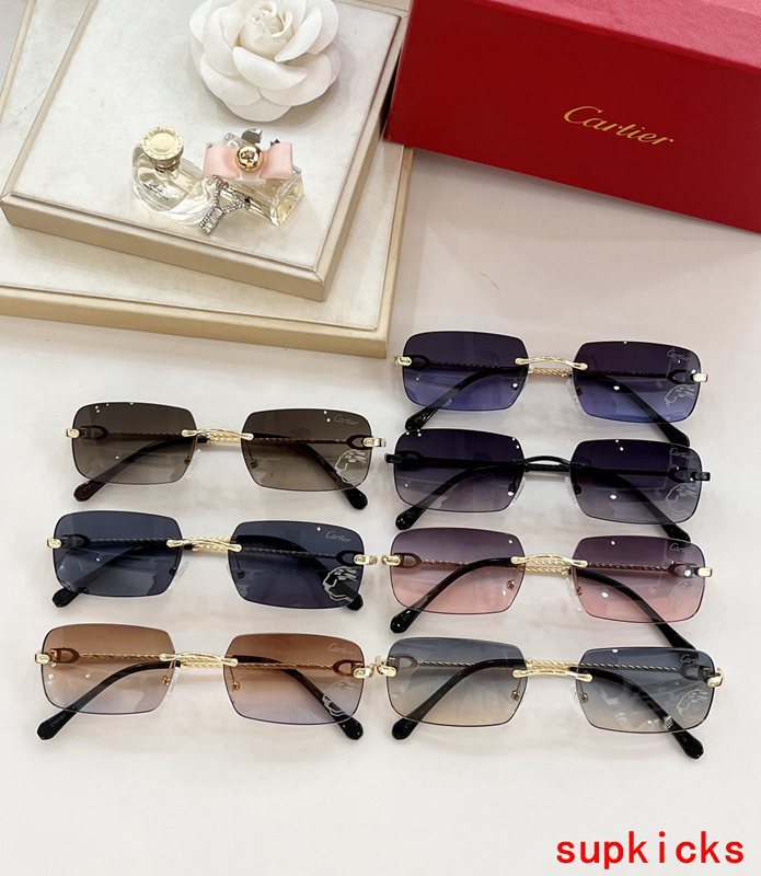 Lifestyle view of Cartier unisex sunglasses