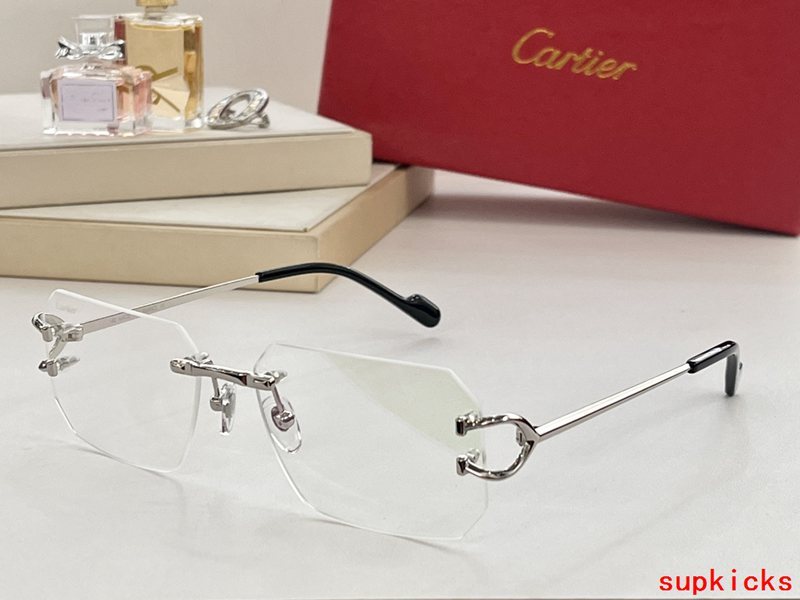 Side view of Cartier unisex sunglasses
