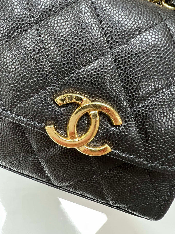 Zivas Charm Polished Finish Designer Handbag (Modern Wardrobe Staple) – Angled View