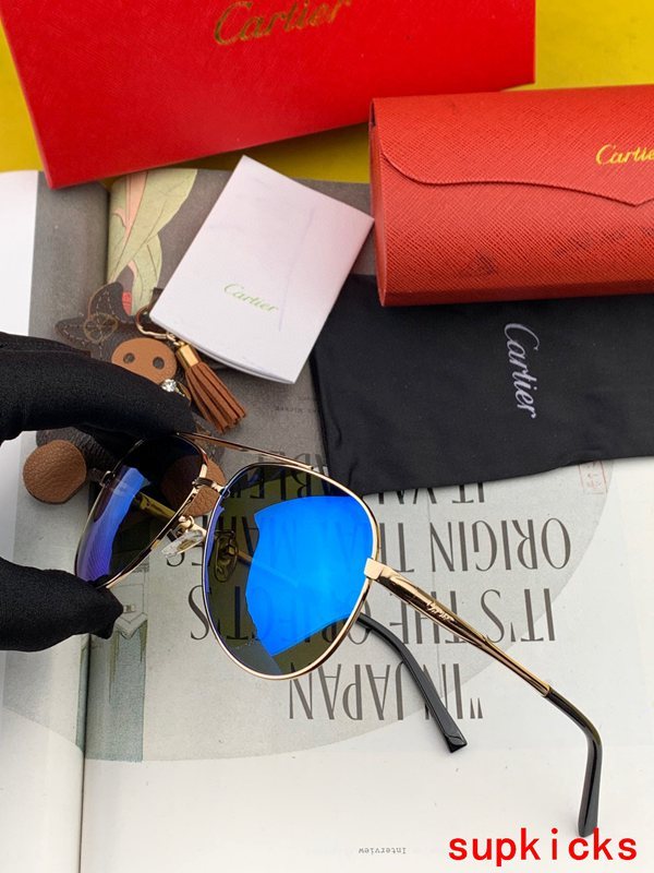 Side view of Cartier unisex sunglasses
