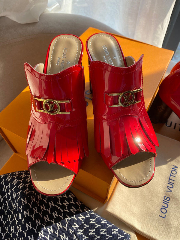 Louis Vuitton luxury shoes detail shot