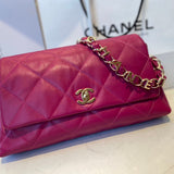  spacious purse view 9