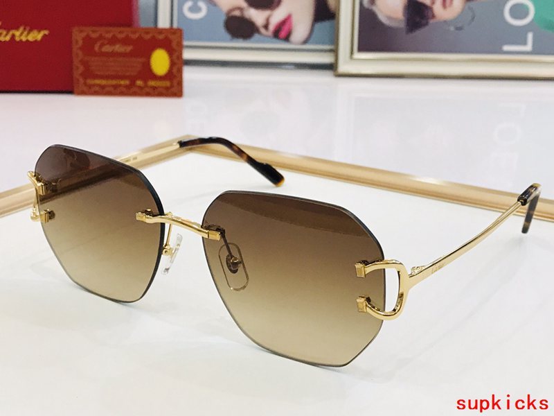 Side view of Cartier unisex sunglasses