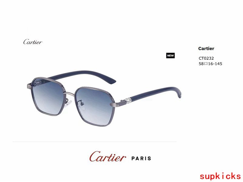 Close-up detail view of Cartier unisex sunglasses