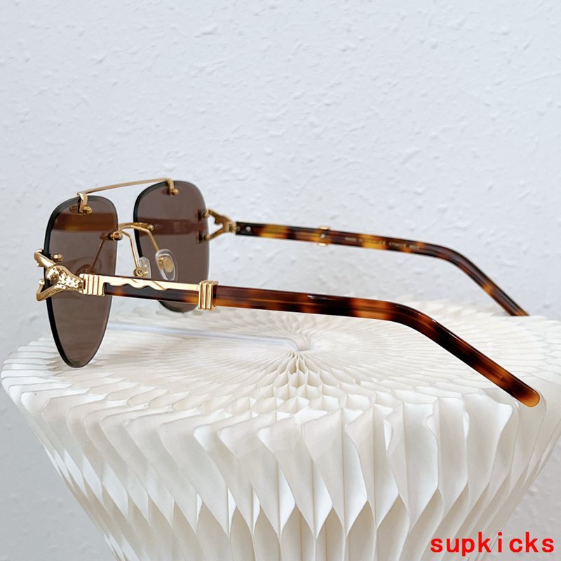 Close-up detail view of Cartier unisex sunglasses