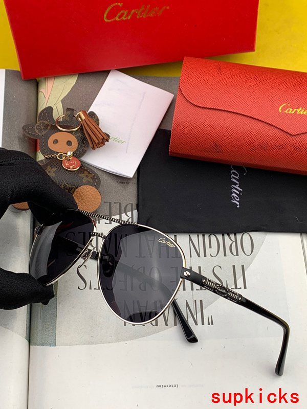 Side view of Cartier unisex sunglasses