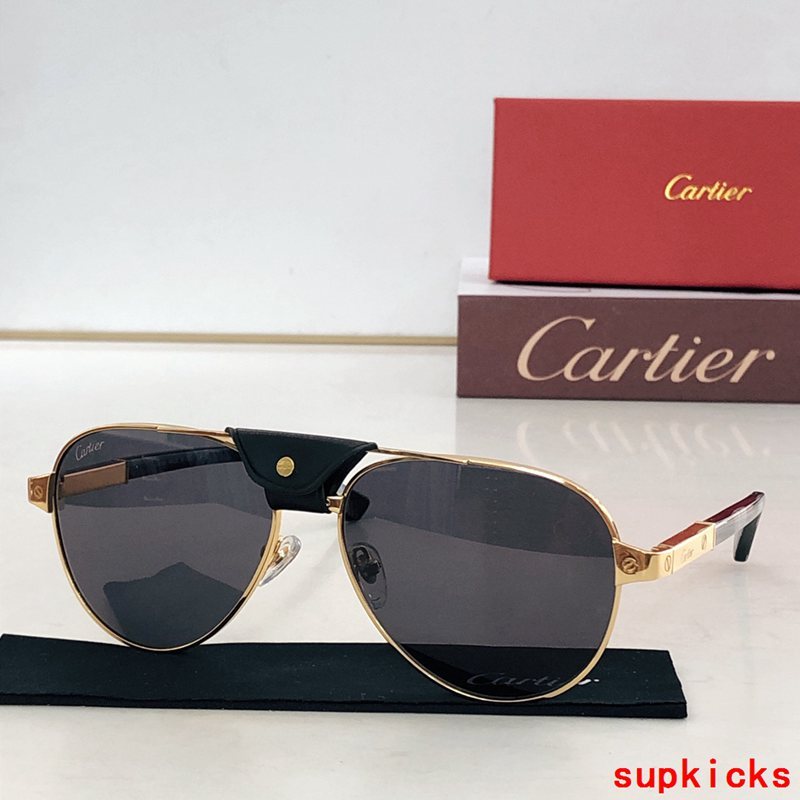 Side view of Cartier unisex sunglasses