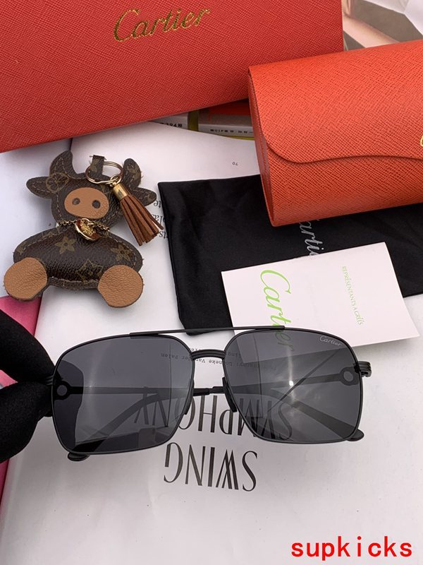 Close-up detail view of Cartier unisex sunglasses