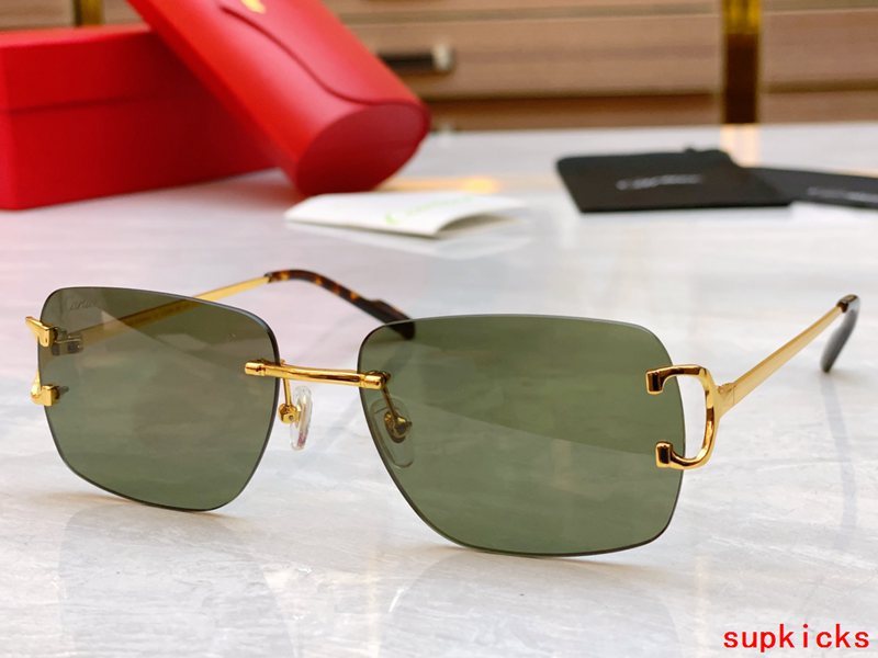 Full view of Cartier unisex sunglasses