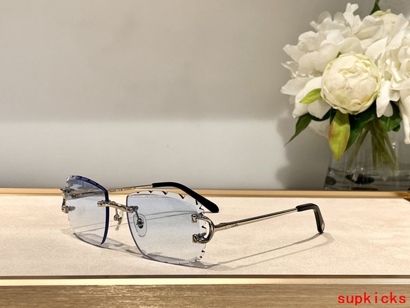 Front view of Cartier unisex sunglasses