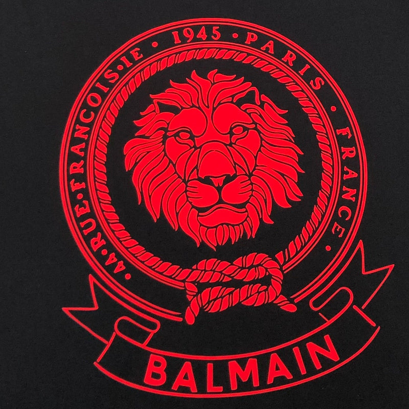 Balmain clothing full view — premium authentic designer style