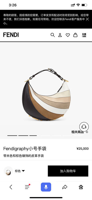 Ziva's Charm handbag – side angle view (29cm*24.5cm*10cm)