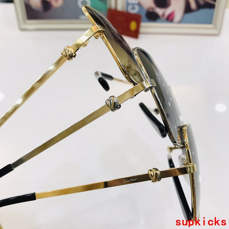 Side view of Cartier unisex sunglasses