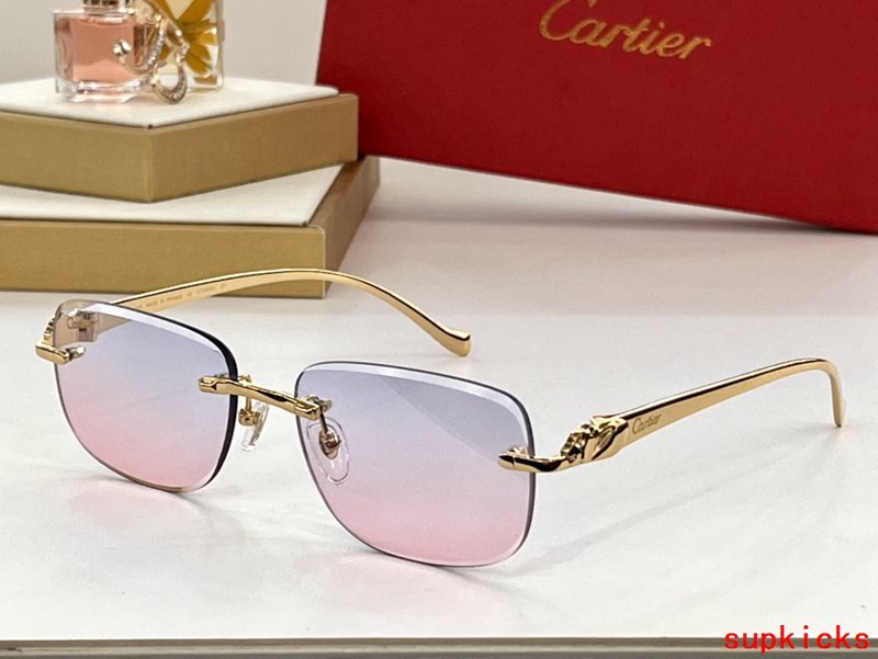 Close-up detail view of Cartier unisex sunglasses