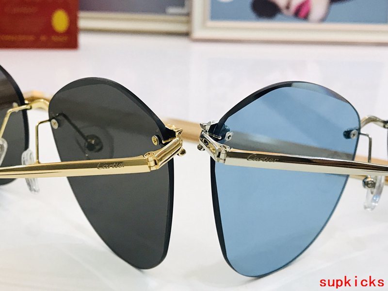 Close-up detail view of Cartier unisex sunglasses