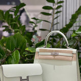  carryall bag interior and compartment view