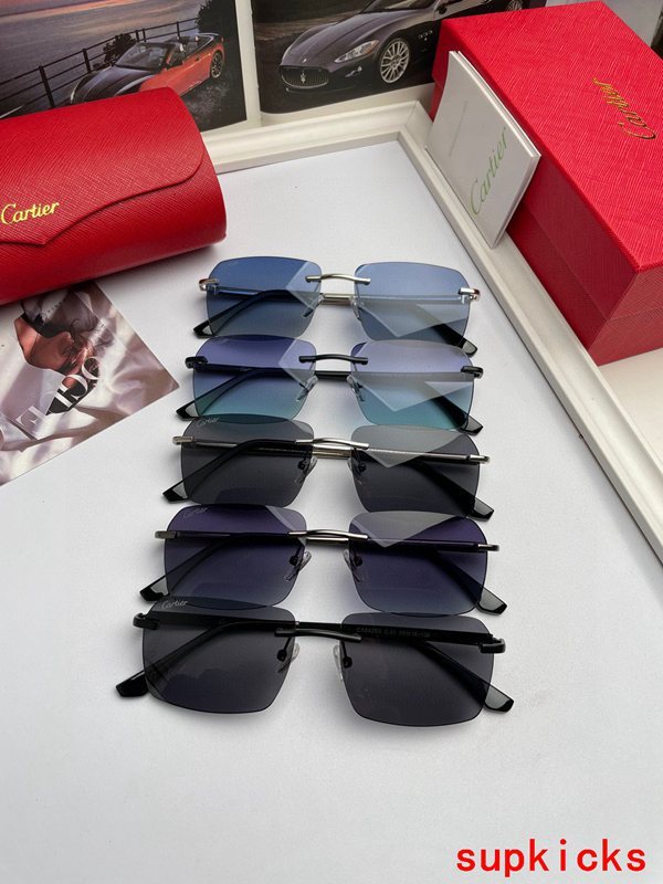 Side view of Cartier unisex sunglasses