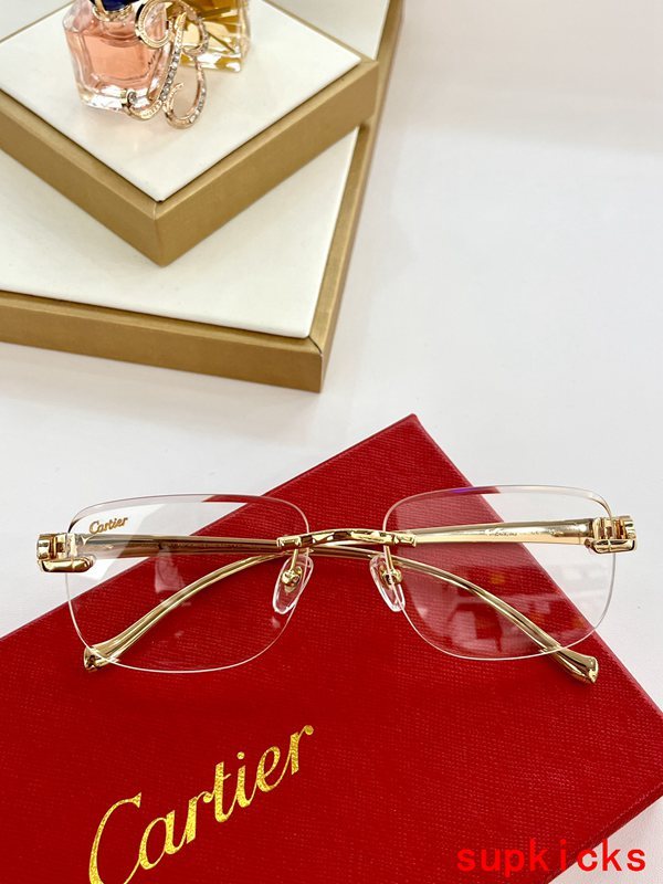 Lifestyle view of Cartier unisex sunglasses
