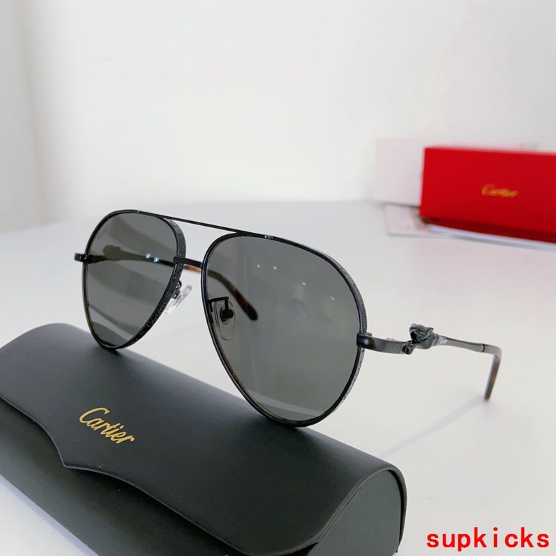 Close-up detail view of Cartier unisex sunglasses