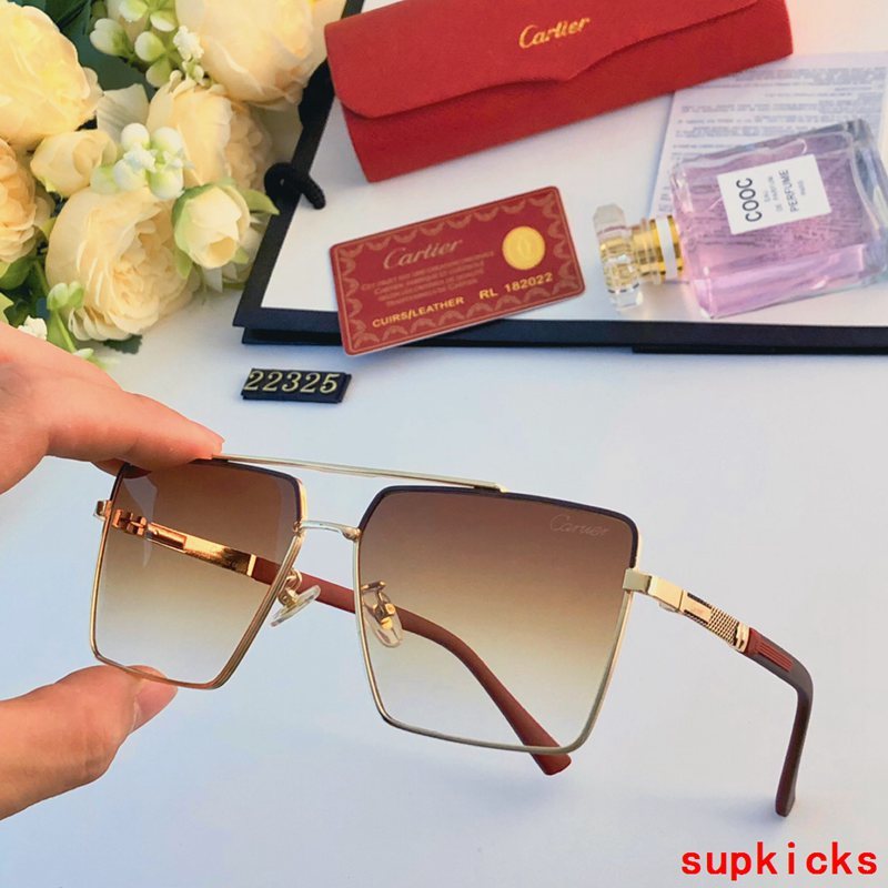 Side view of Cartier unisex sunglasses