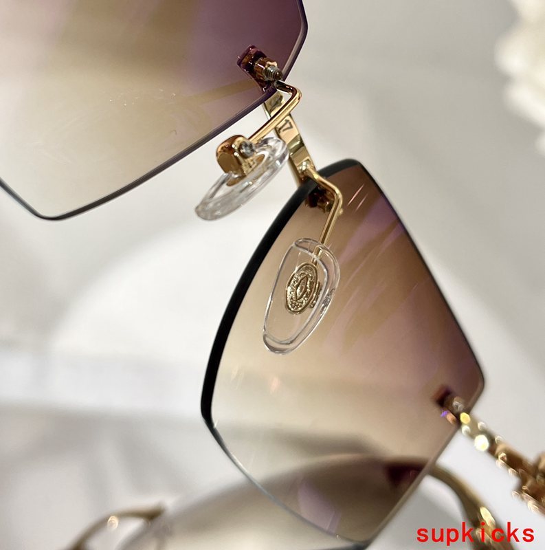 Side view of Cartier unisex sunglasses