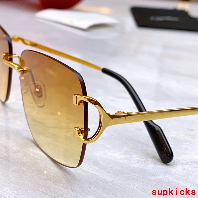 Side view of Cartier unisex sunglasses