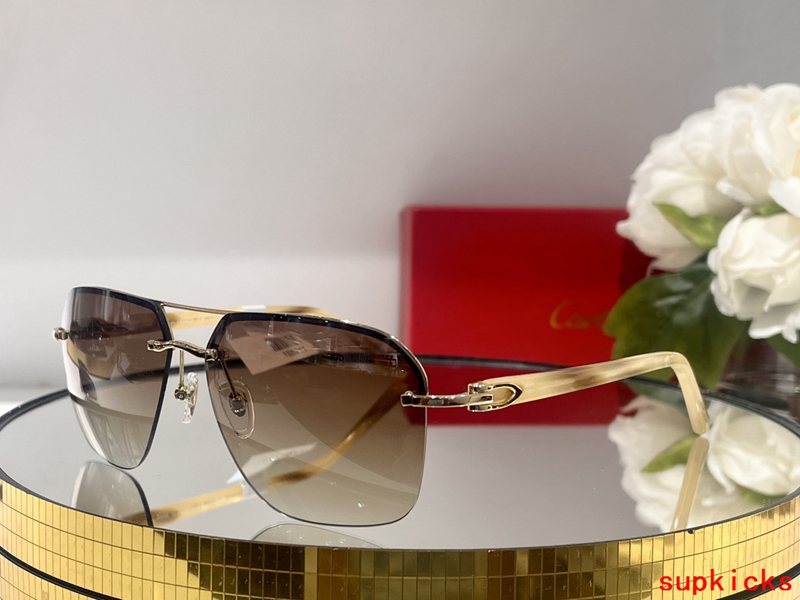 Angled view of Cartier unisex sunglasses