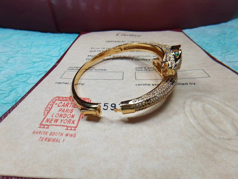 Full view of Cartier unisex jewelry piece