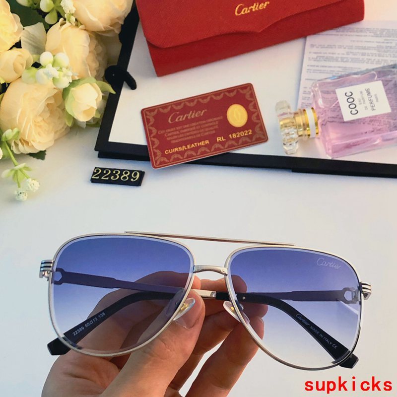 Close-up detail view of Cartier unisex sunglasses
