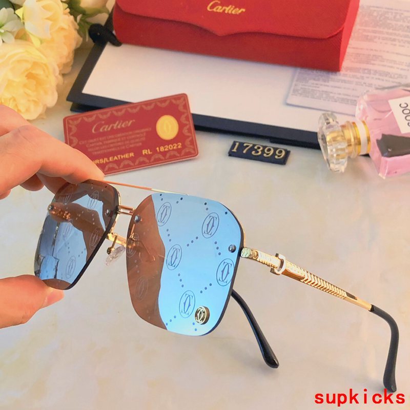 Side view of Cartier unisex sunglasses