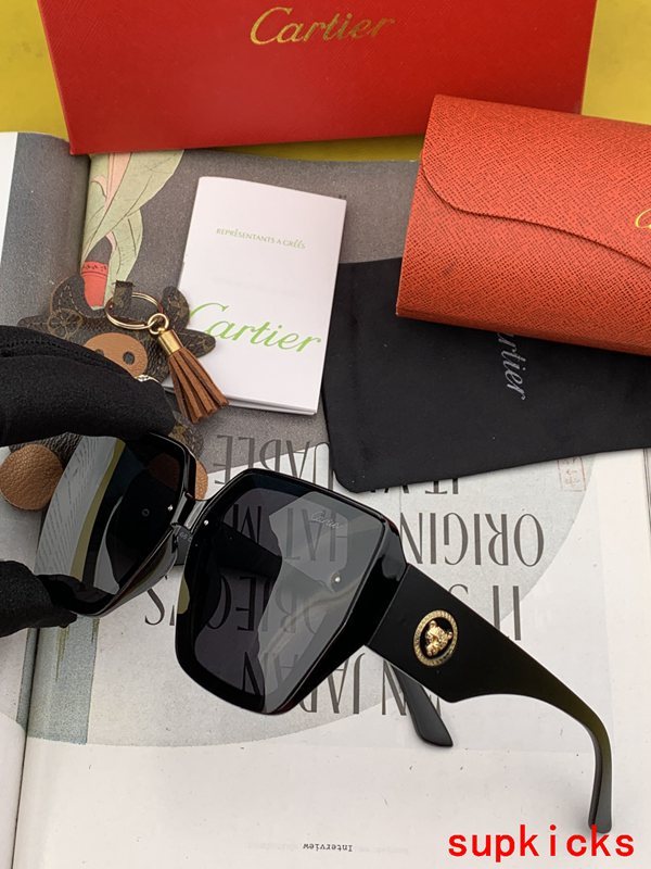 Close-up detail view of Cartier unisex sunglasses