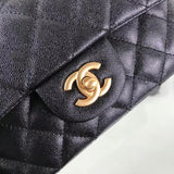 Zivas Charm Classic Sensibility Fashion Handbag (Signature Shape & Finish) – Close-Up Detail