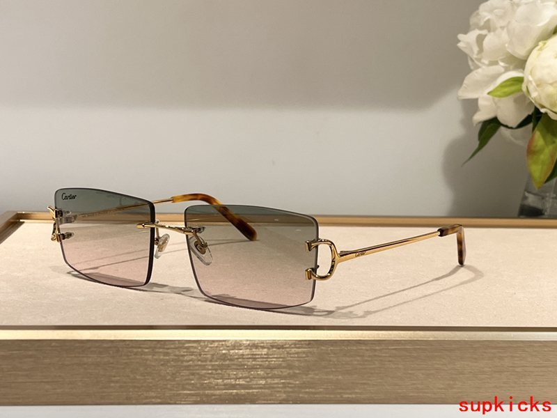 Full view of Cartier unisex sunglasses