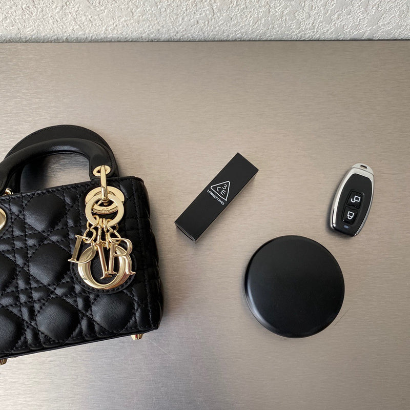 Interior view of elevated chic women's handbag – women's everyday handbag