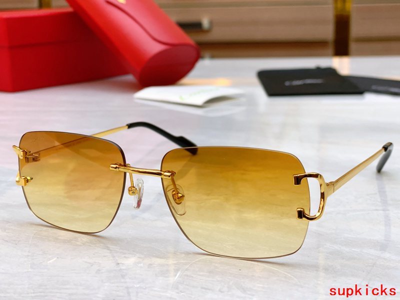 Front view of Cartier unisex sunglasses