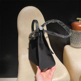  everyday bag interior and compartment view 21