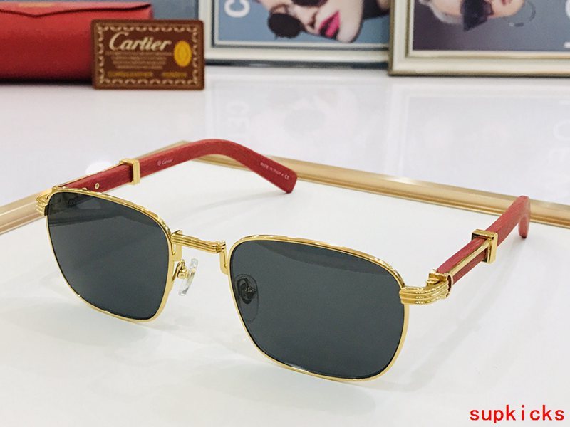 Close-up detail view of Cartier unisex sunglasses