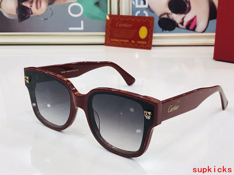 Front view of Cartier unisex sunglasses