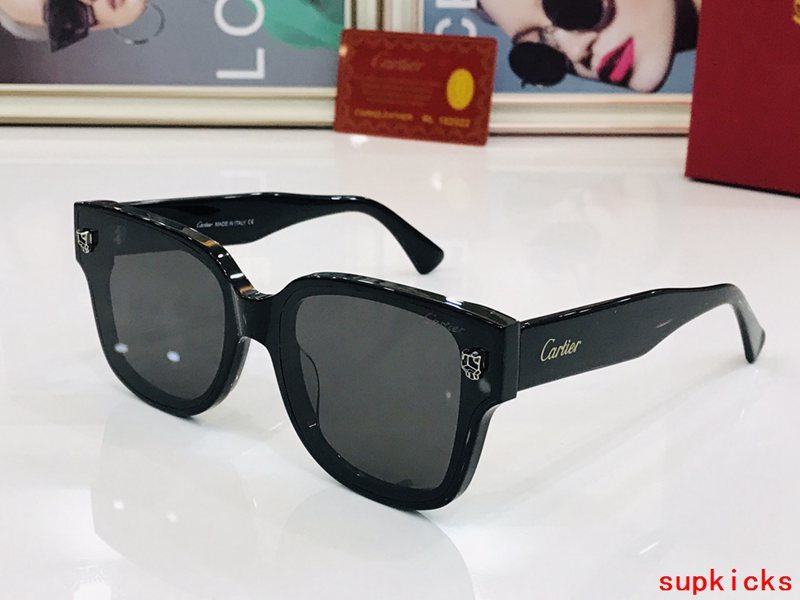 Side view of Cartier unisex sunglasses