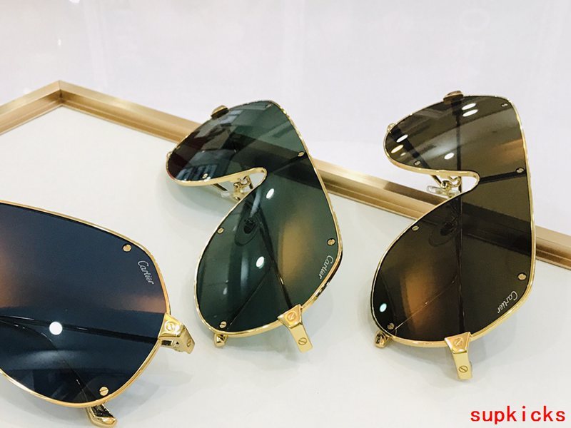 Side view of Cartier unisex sunglasses