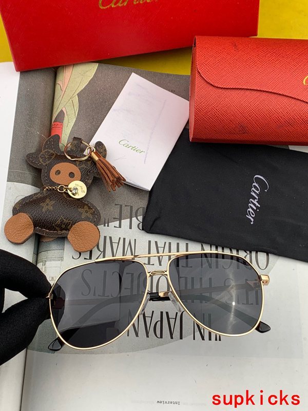 Full view of Cartier unisex sunglasses