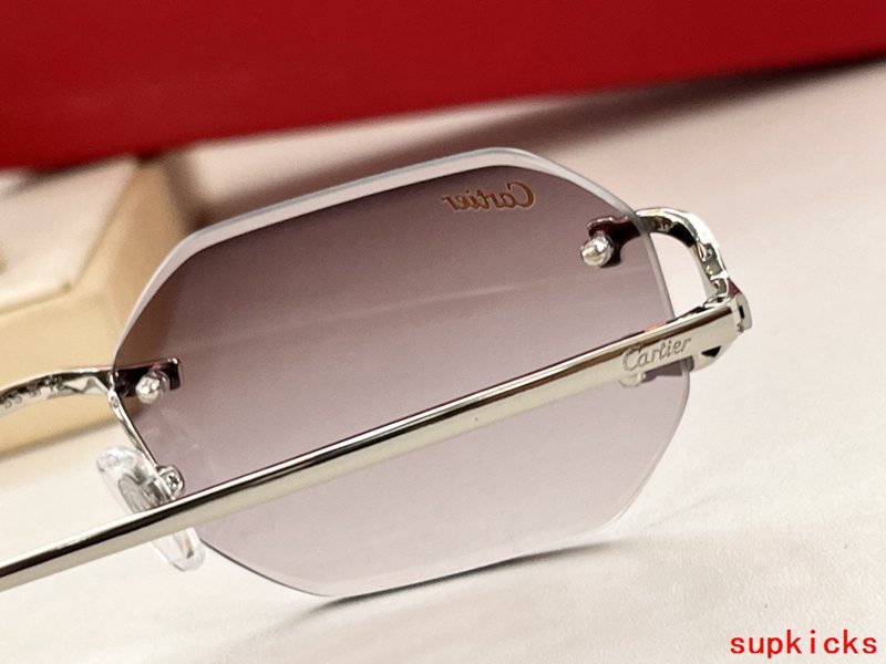 Close-up detail view of Cartier unisex sunglasses