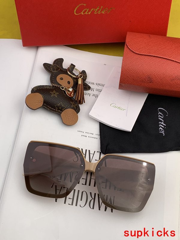 Angled view of Cartier unisex sunglasses