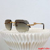Front view of Cartier unisex sunglasses